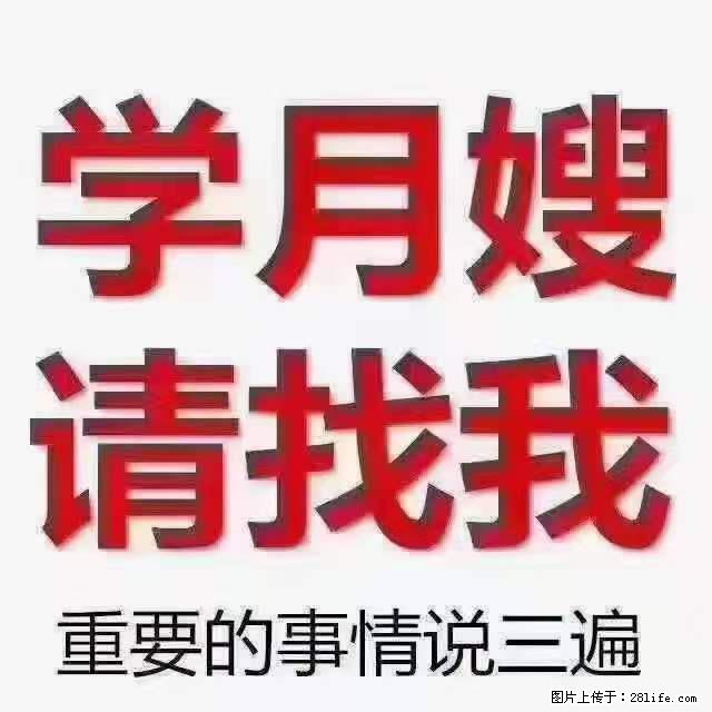 为什么要学习月嫂，育婴师？ - 其他广告 - 广告专区 - 运城分类信息 - 运城28生活网 yuncheng.28life.com
