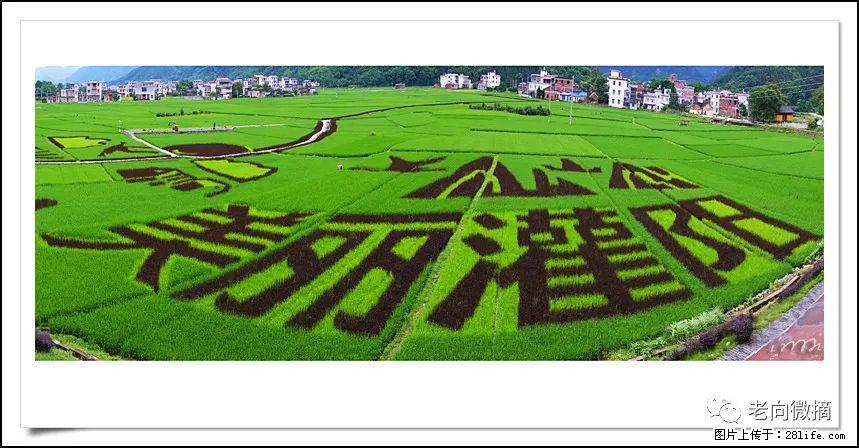 【春天,广西桂林灌阳县向您发出邀请!】开篇 - 游山玩水 - 运城生活社区 - 运城28生活网 yuncheng.28life.com