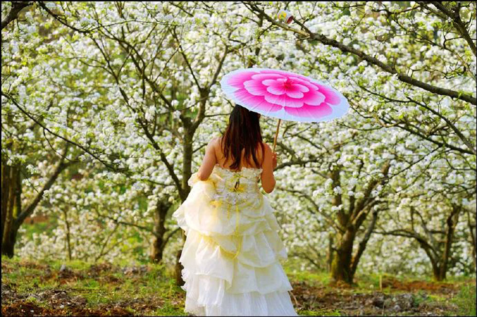 【春天,广西桂林灌阳县向您发出邀请!】我们在灌阳看梨花 - 游山玩水 - 运城生活社区 - 运城28生活网 yuncheng.28life.com