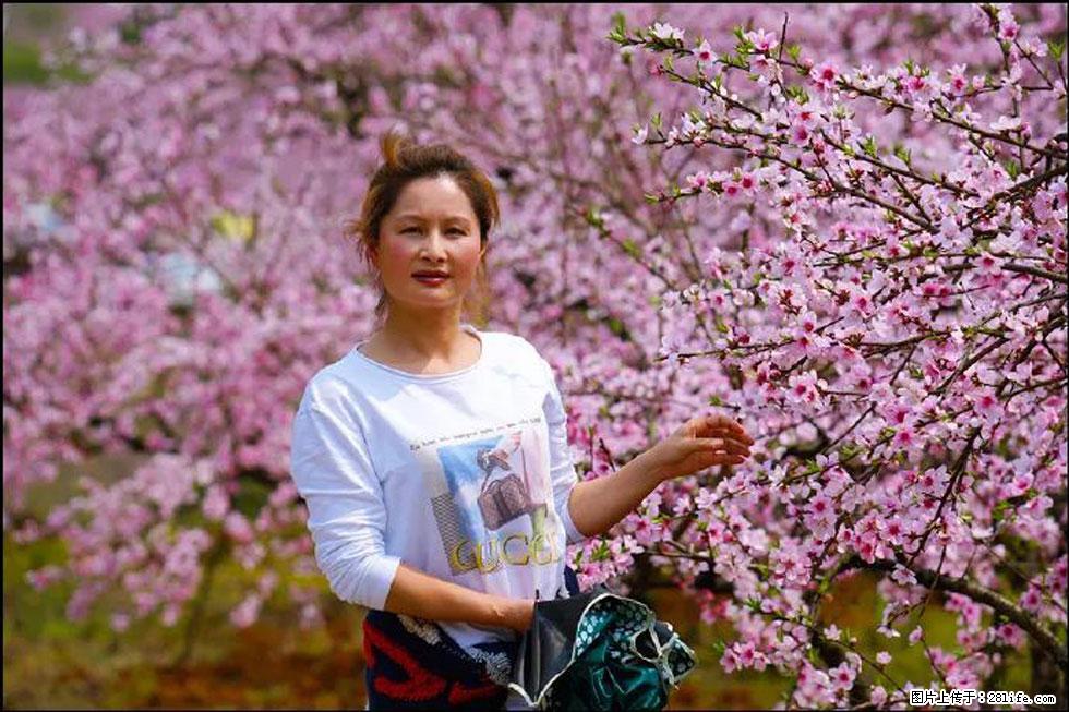 【春天,广西桂林灌阳县向您发出邀请!】官庄村有个醉美的桃花园 - 游山玩水 - 运城生活社区 - 运城28生活网 yuncheng.28life.com