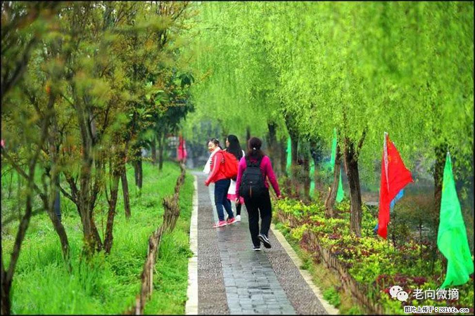 【春天，广西桂林灌阳县向您发出邀请！】江口老街又逢春 - 游山玩水 - 运城生活社区 - 运城28生活网 yuncheng.28life.com