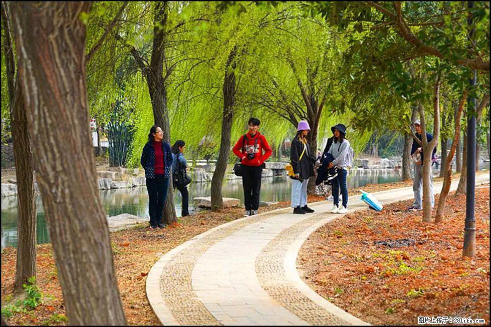 【春天，广西桂林灌阳县向您发出邀请！】江口老街又逢春 - 游山玩水 - 运城生活社区 - 运城28生活网 yuncheng.28life.com