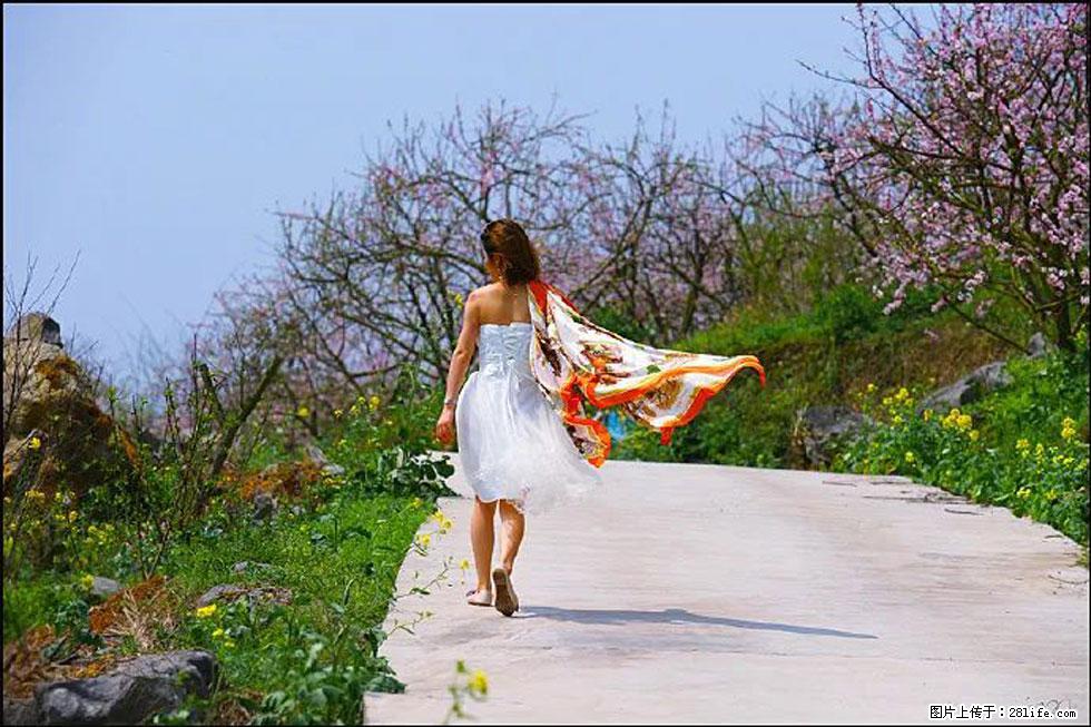 【春天,广西桂林灌阳县向您发出邀请!】望月岭上桃花开 - 游山玩水 - 运城生活社区 - 运城28生活网 yuncheng.28life.com