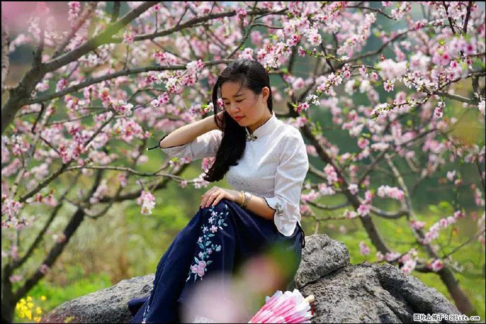 【春天,广西桂林灌阳县向您发出邀请!】望月岭上桃花开 - 游山玩水 - 运城生活社区 - 运城28生活网 yuncheng.28life.com