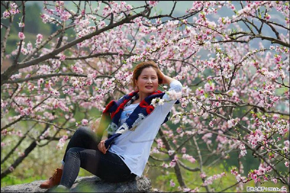 【春天,广西桂林灌阳县向您发出邀请!】望月岭上桃花开 - 游山玩水 - 运城生活社区 - 运城28生活网 yuncheng.28life.com