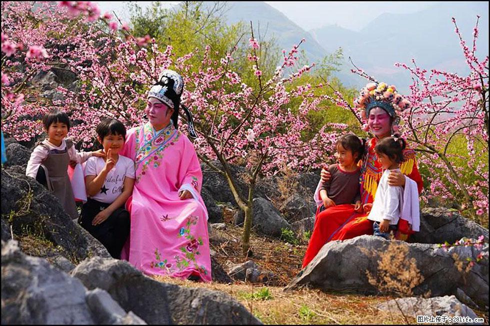 【春天,广西桂林灌阳县向您发出邀请!】望月岭上桃花开 - 游山玩水 - 运城生活社区 - 运城28生活网 yuncheng.28life.com
