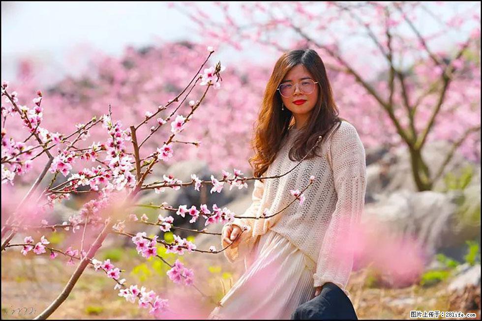 【春天,广西桂林灌阳县向您发出邀请!】望月岭上桃花开 - 游山玩水 - 运城生活社区 - 运城28生活网 yuncheng.28life.com