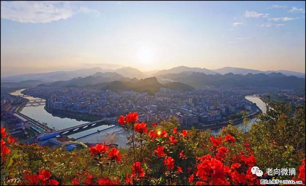 【春天,广西桂林灌阳县向您发出邀请!】登麒麟山,相约映山红 - 游山玩水 - 运城生活社区 - 运城28生活网 yuncheng.28life.com