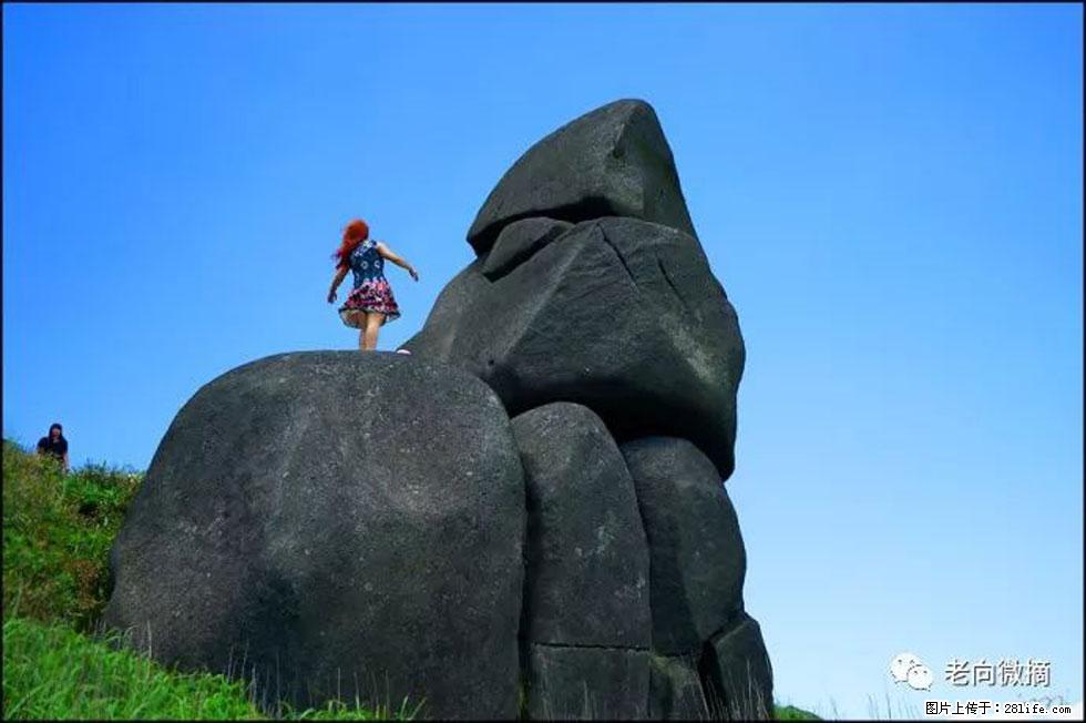 【春天,广西桂林灌阳县向您发出邀请!】宝盖山上映山红 - 游山玩水 - 运城生活社区 - 运城28生活网 yuncheng.28life.com