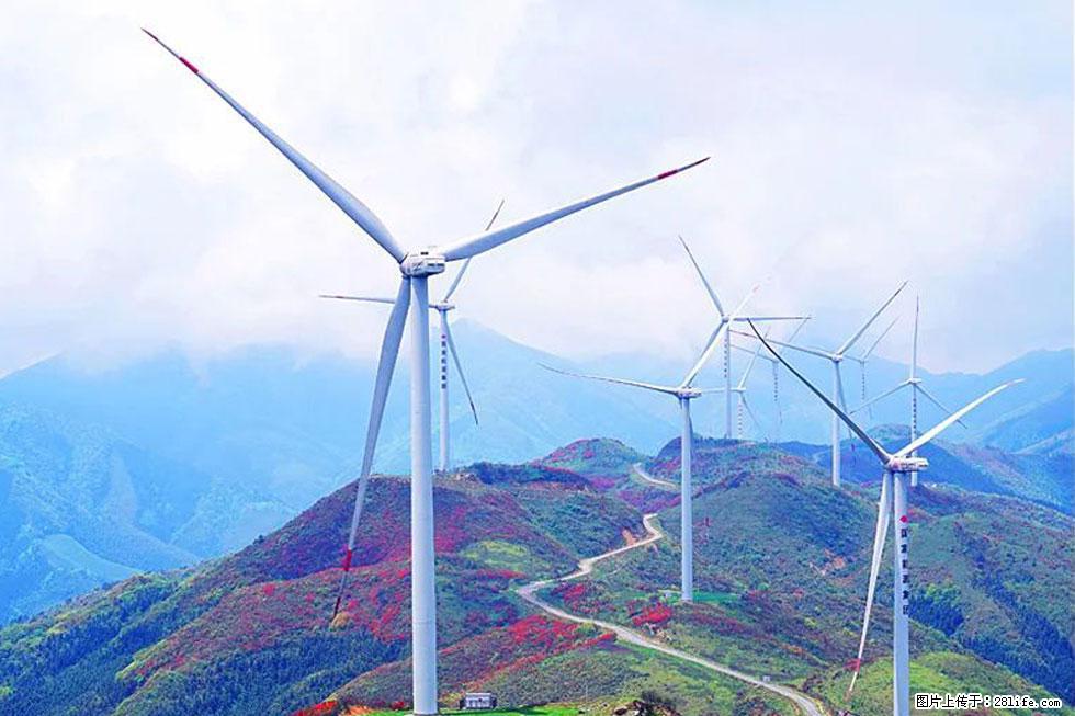 【春天,广西桂林灌阳县向您发出邀请!】春木界上映山红 - 游山玩水 - 运城生活社区 - 运城28生活网 yuncheng.28life.com