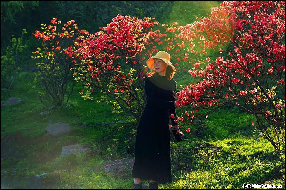 【春天,广西桂林灌阳县向您发出邀请!】春木界上映山红 - 游山玩水 - 运城生活社区 - 运城28生活网 yuncheng.28life.com