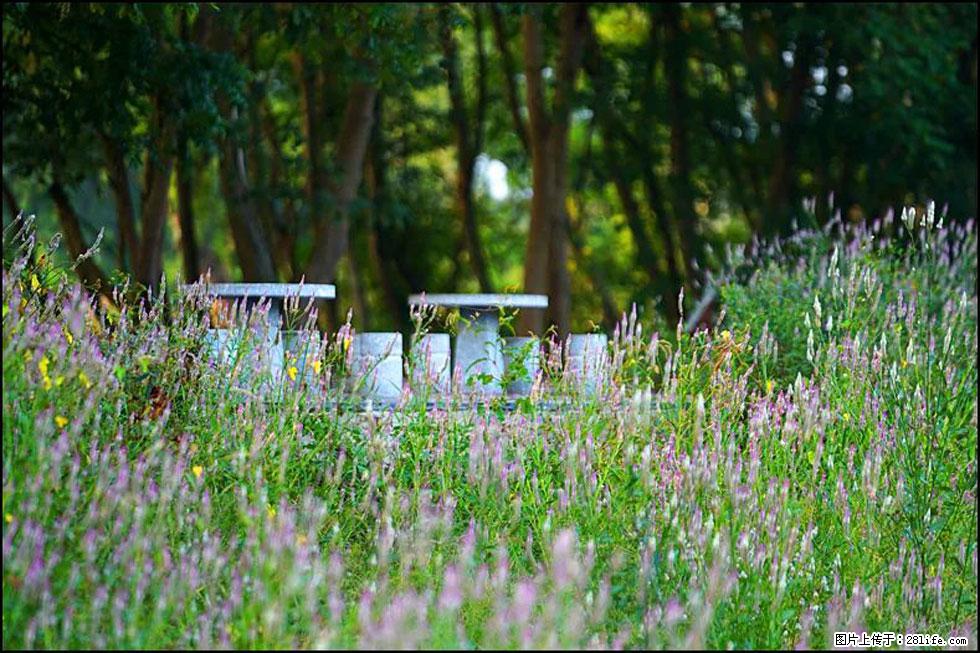 【春天，广西桂林灌阳县向您发出邀请！】熊家寨湿地公园 - 游山玩水 - 运城生活社区 - 运城28生活网 yuncheng.28life.com