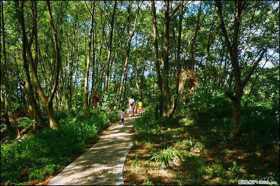 【春天，广西桂林灌阳县向您发出邀请！】熊家寨湿地公园 - 游山玩水 - 运城生活社区 - 运城28生活网 yuncheng.28life.com