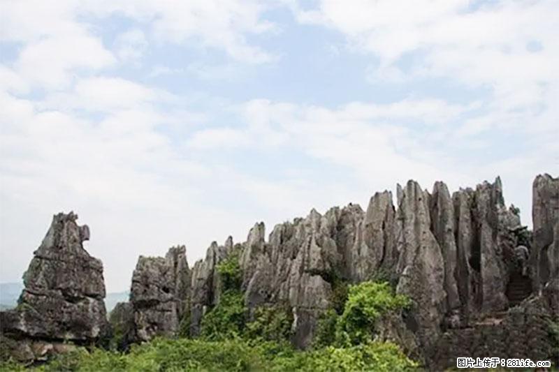 桂林旅游名城景点:灌阳文市石林 - 游山玩水 - 运城生活社区 - 运城28生活网 yuncheng.28life.com
