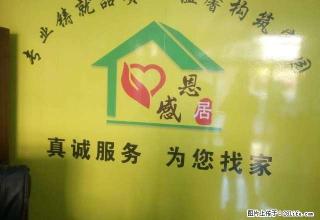 恒大绿洲 精装33楼 一室一厅 41平米 适合情侣租 - 运城28生活网 yuncheng.28life.com