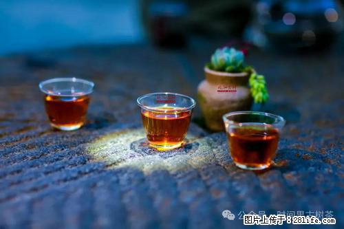 时间果百年古树2025年春红茶 - 购物交流 - 运城生活社区 - 运城28生活网 yuncheng.28life.com