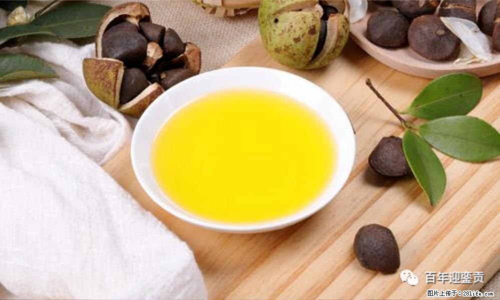 揭秘茶油的5大核心营养成分!被称为人体健康的“守护盾”! - 运城生活资讯 - 运城28生活网 yuncheng.28life.com