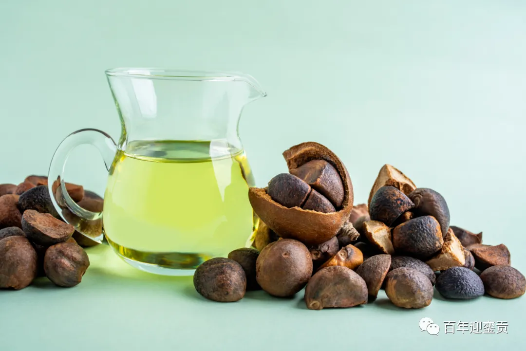 世界没有真相,只有认知,最好的食用油是中国的山茶油! - 运城生活资讯 - 运城28生活网 yuncheng.28life.com