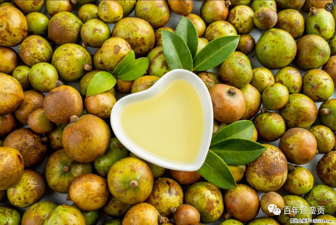 世界没有真相,只有认知,最好的食用油是中国的山茶油! - 运城生活资讯 - 运城28生活网 yuncheng.28life.com