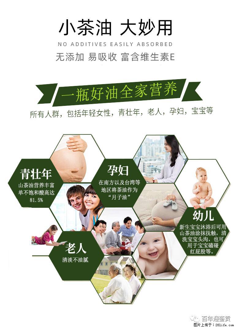 世界没有真相,只有认知,最好的食用油是中国的山茶油! - 运城生活资讯 - 运城28生活网 yuncheng.28life.com