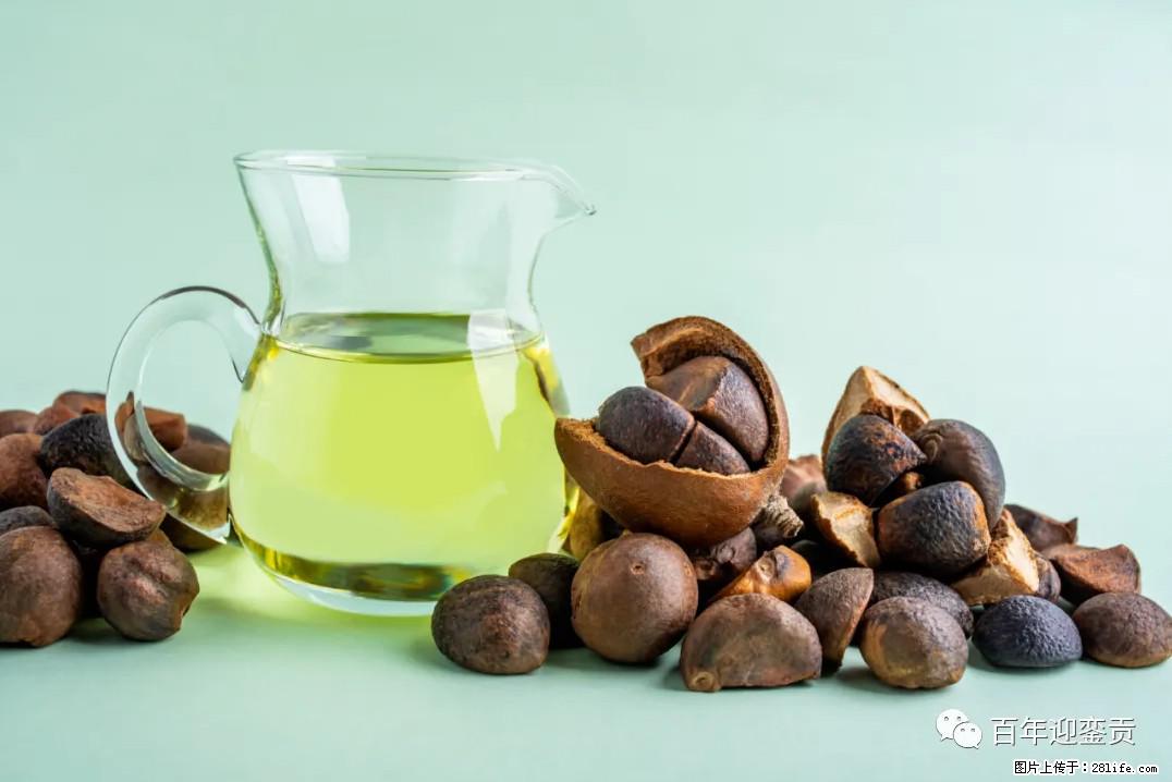 世界没有真相,只有认知,最好的食用油是中国的山茶油! - 运城生活资讯 - 运城28生活网 yuncheng.28life.com
