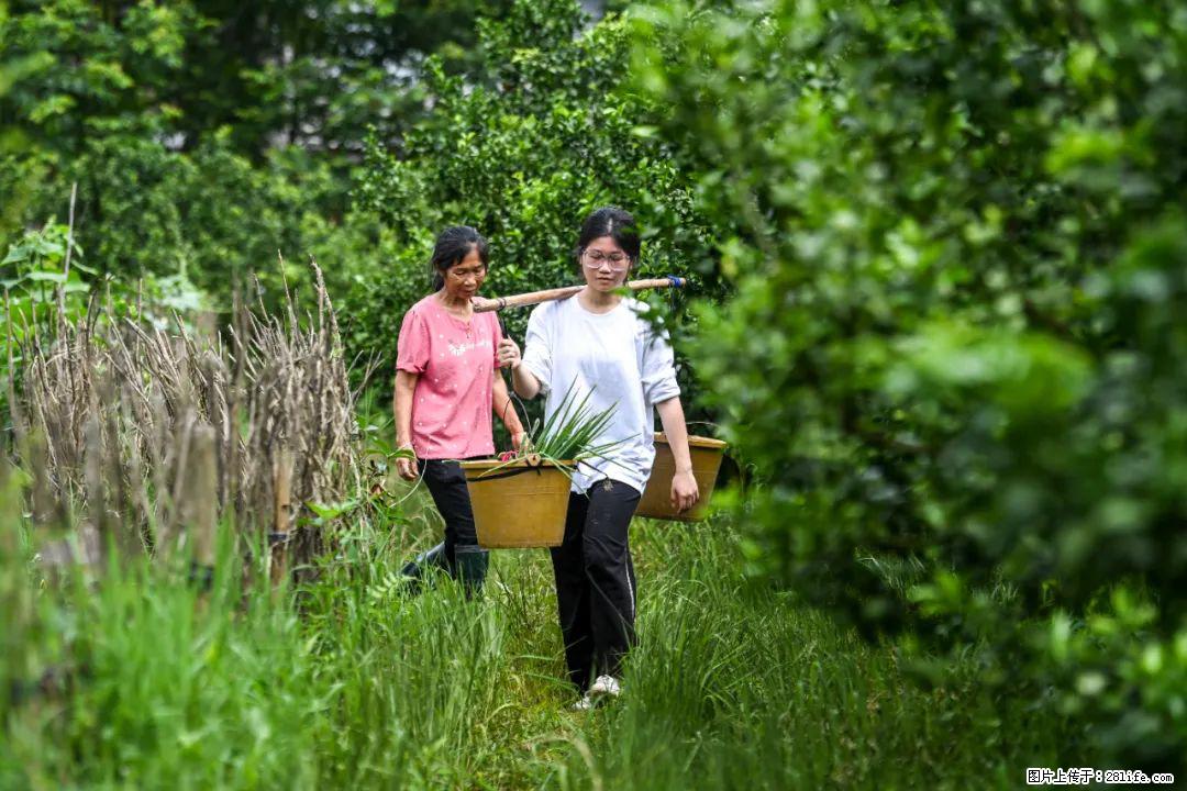 全网追的“扁担女孩”,找了一份暑假工,时薪12元 - 运城生活资讯 - 运城28生活网 yuncheng.28life.com
