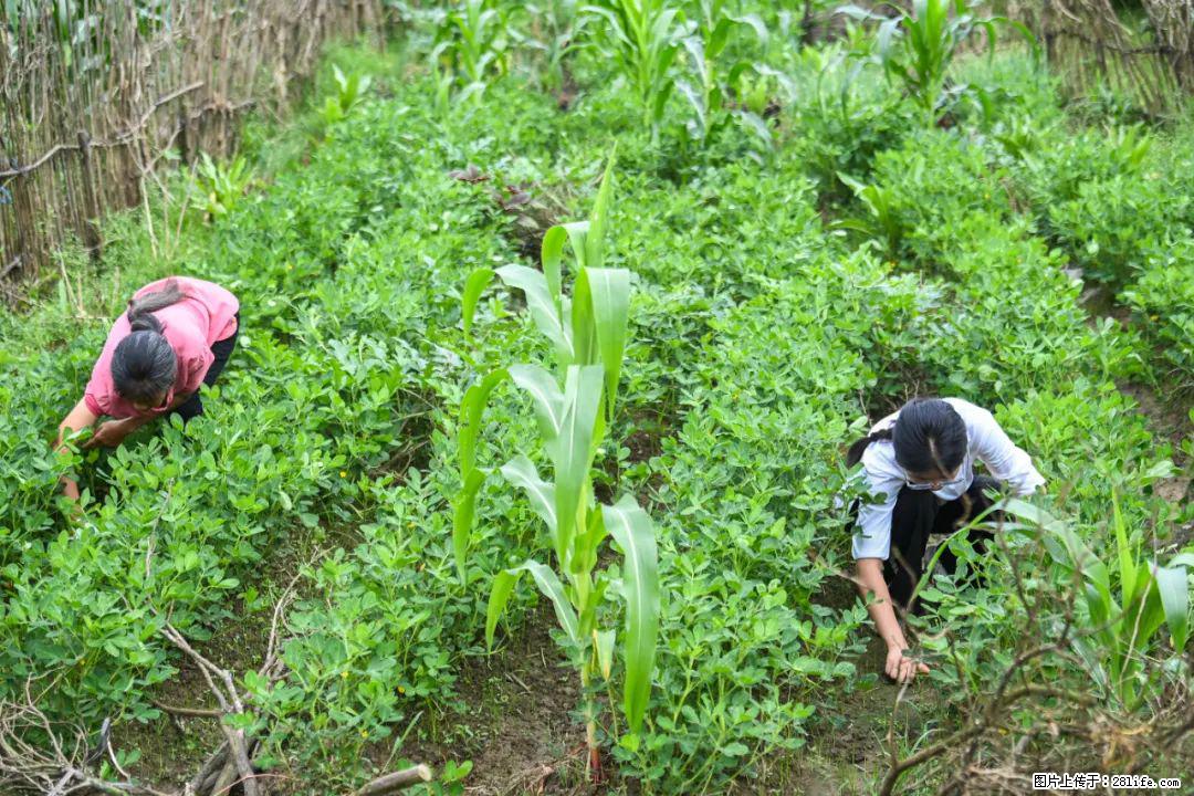 全网追的“扁担女孩”,找了一份暑假工,时薪12元 - 运城生活资讯 - 运城28生活网 yuncheng.28life.com