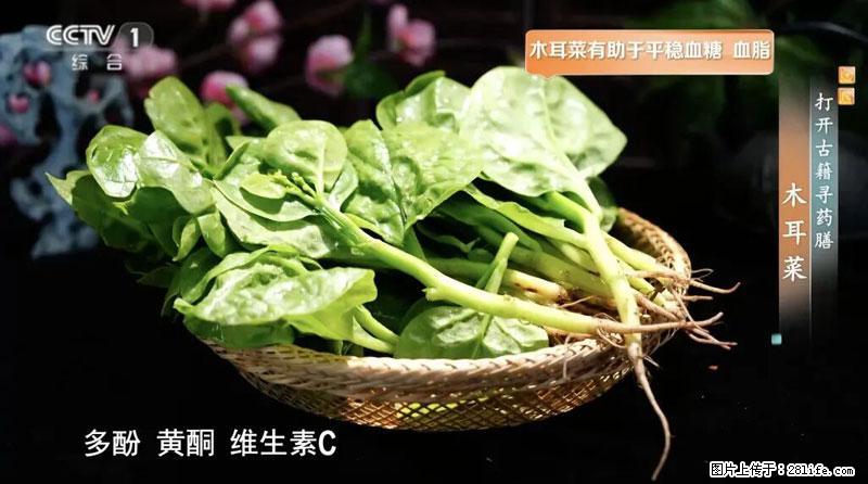 比牛奶补钙还厉害!凉血解毒、稳血糖...这菜冬天必吃,很多人却当草 - 运城生活资讯 - 运城28生活网 yuncheng.28life.com