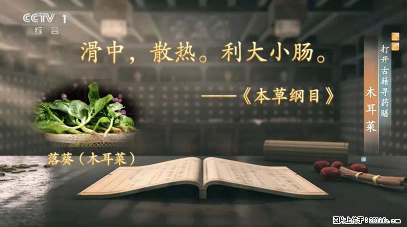 比牛奶补钙还厉害!凉血解毒、稳血糖...这菜冬天必吃,很多人却当草 - 运城生活资讯 - 运城28生活网 yuncheng.28life.com