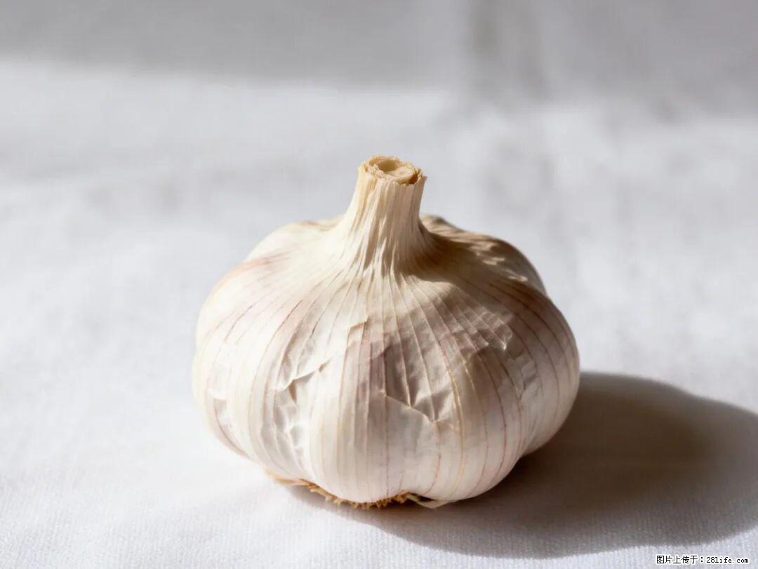 关于大蒜，除了“天然抗生素”，这4个谣言更该警惕! - 运城生活资讯 - 运城28生活网 yuncheng.28life.com
