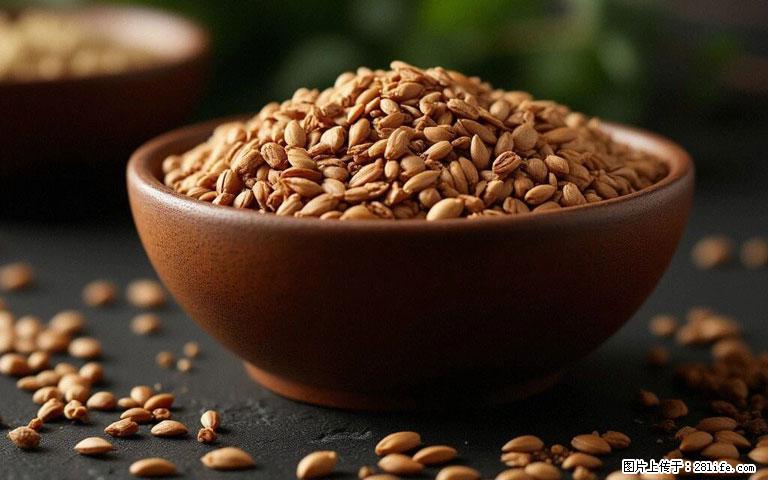 这三苦是三高“克星”，心血管干净不易堵！每天吃一点，指标慢慢降下来~ - 运城生活资讯 - 运城28生活网 yuncheng.28life.com