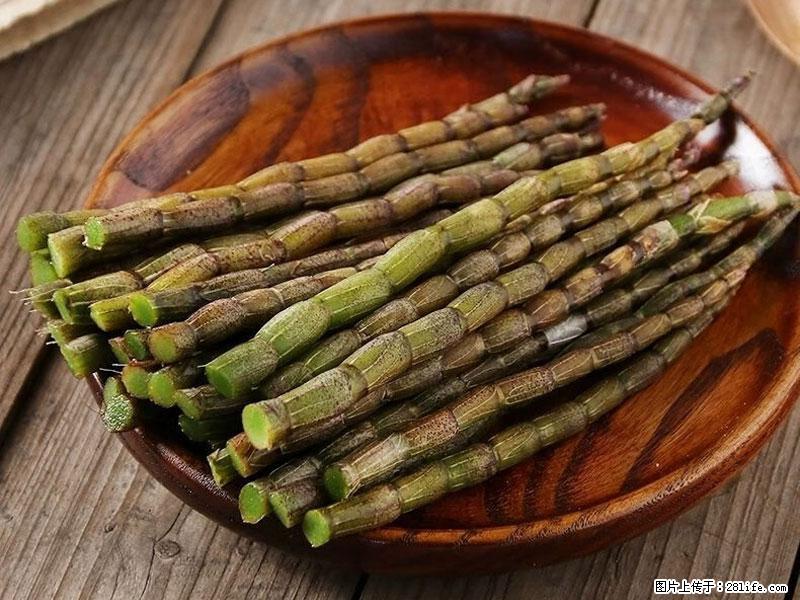 铁皮石斛的作用与功能主治 - 运城生活资讯 - 运城28生活网 yuncheng.28life.com