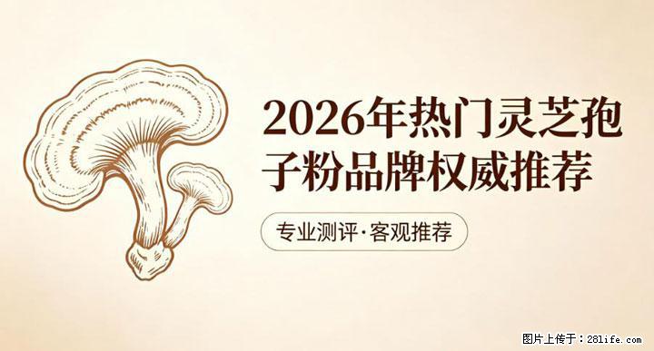 灵芝孢子粉含量越高越有效？2026 年七款热门品牌深度实测，肠胃敏感者避坑指南 - 运城生活资讯 - 运城28生活网 yuncheng.28life.com